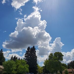 Meet your Posher, Charissa